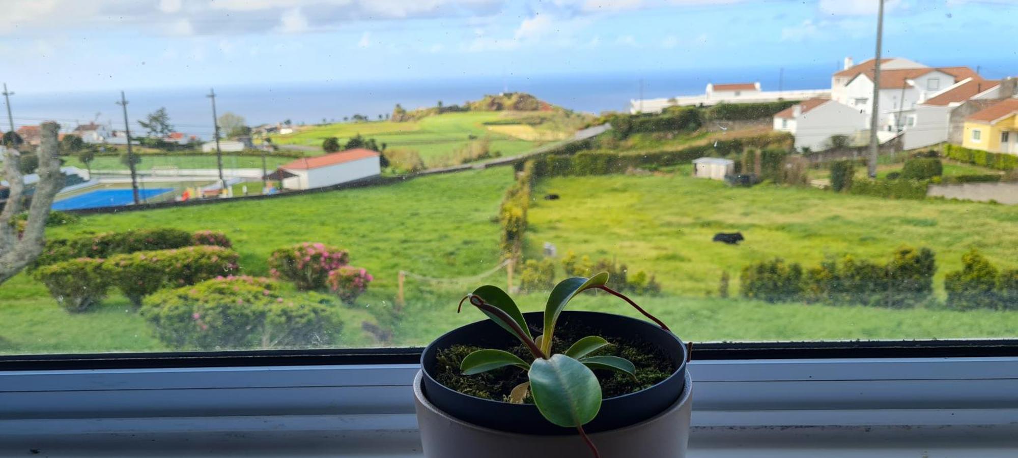 Casa Miramar Villa Algarvia Eksteriør billede